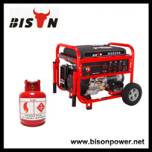 BISON (CHINA) Top Brand Tatsächliche Ausgangsleistung LPG 4000Watts Biogas Methan Generator